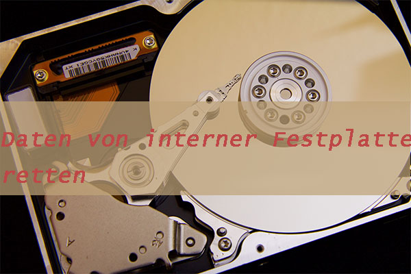 Datenwiederherstellung von defekten internen Festplatten – Ausgezeichnete Anleitungen!