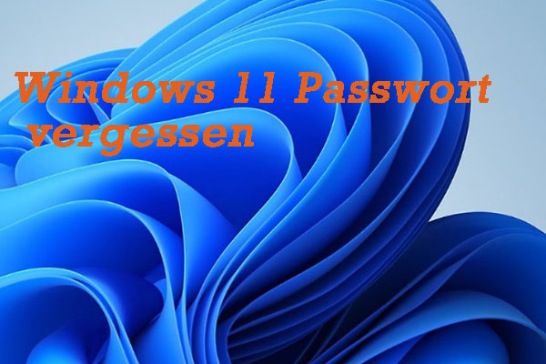 Windows 11 Passwort vergessen | Windows 11 Passwort zurücksetzen