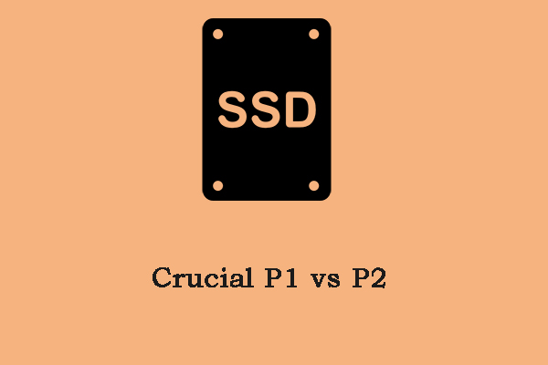 Crucial P1 vs. P2: Was sind die Unterschiede & welche ist besser