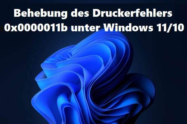 Behebung des Druckerfehlers 0x0000011b unter Windows 11/10