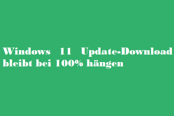Windows 11 Update-Download bleibt bei 100% hängen