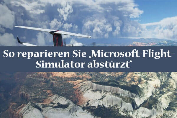 So reparieren Sie „Microsoft-Flight-Simulator abstürzt“