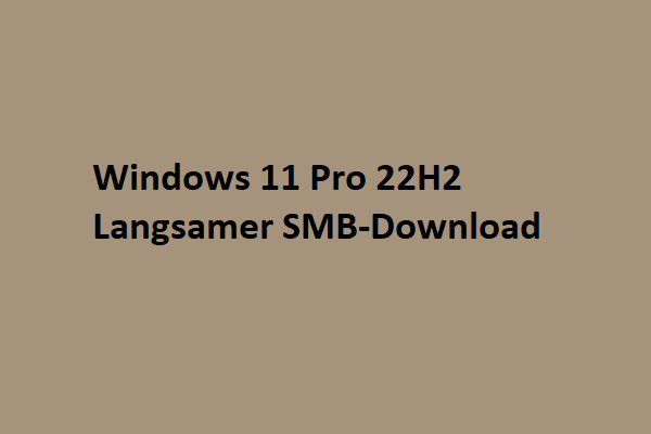 Gelöst - Windows 11 Pro 22H2 Langsamer SMB-Download [5 Wege]