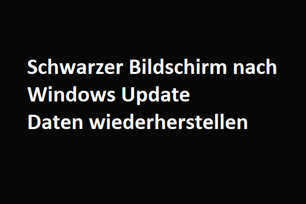 Schwarzer Bildschirm nach Windows Update & Daten wiederherstellen