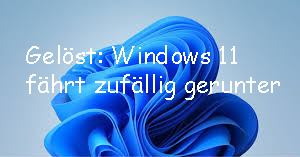 Gelöst: Windows 11 fährt ohne Grund herunter