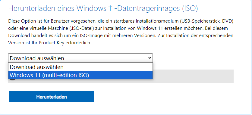 Wählen Sie Windows 11 zum Herunterladen