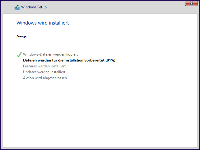 Installationsvorgang