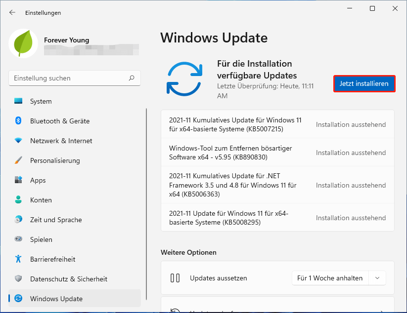  Laden Sie Windows 11-Updates herunter und installieren Sie sie
