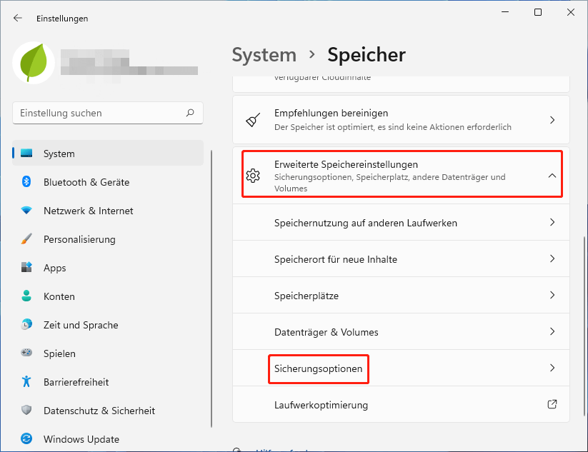 Wählen Sie Sicherungsoptionen auf der Seite mit den Systemspeichereinstellungen von Windows 11